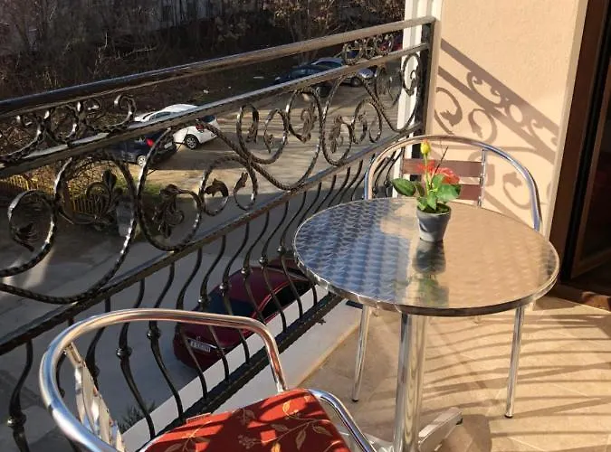 Purple Rose Valencia Gardens *